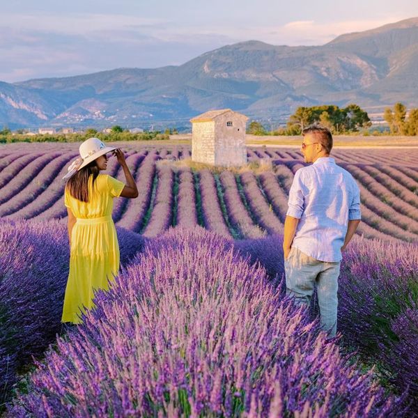 Provence, Lavender field France, Valensole Plateau, colorful field of Lavender Valensole Plateau, Provence, Southern France. Lavender field. Europe. Couple men and woman on vacation at the provence lavender fields,